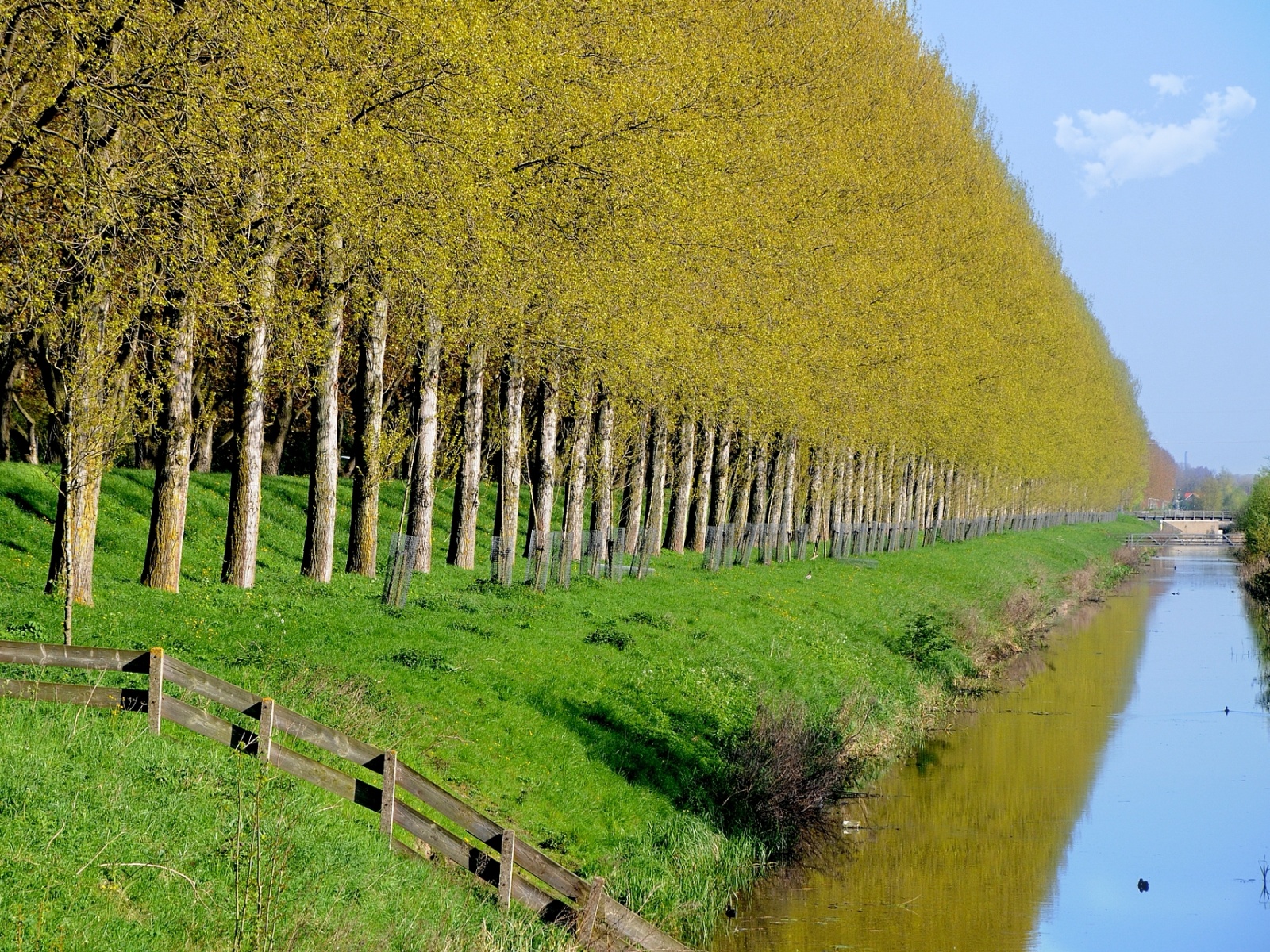 Bewust Haarlemmermeer